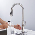 Brush Nickel Chrome Flexible Kitchen Faucet